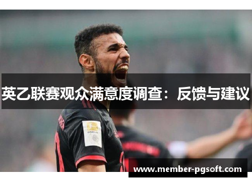 英乙联赛观众满意度调查：反馈与建议