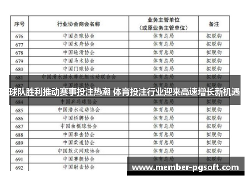 球队胜利推动赛事投注热潮 体育投注行业迎来高速增长新机遇