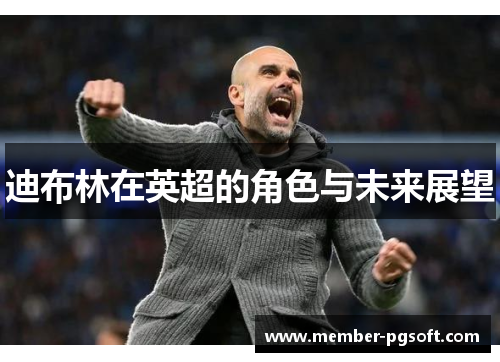 迪布林在英超的角色与未来展望
