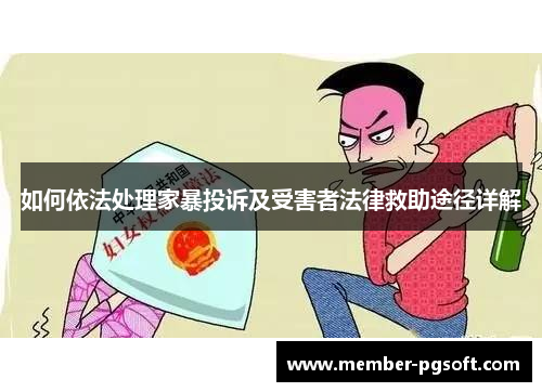 如何依法处理家暴投诉及受害者法律救助途径详解