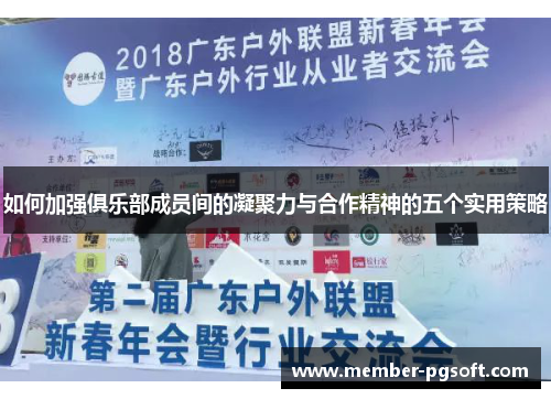 如何加强俱乐部成员间的凝聚力与合作精神的五个实用策略