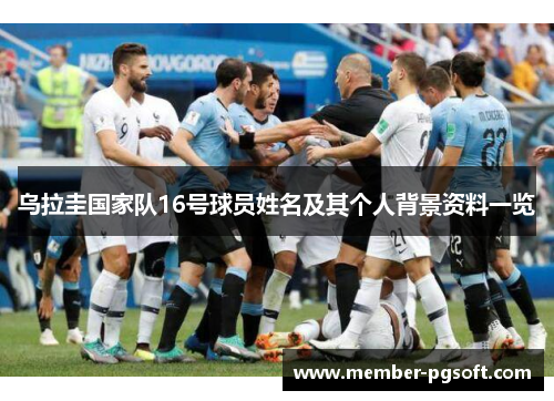 乌拉圭国家队16号球员姓名及其个人背景资料一览