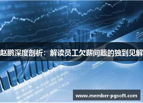 赵鹏深度剖析：解读员工欠薪问题的独到见解