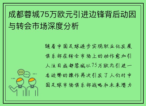 成都蓉城75万欧元引进边锋背后动因与转会市场深度分析